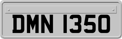 DMN1350