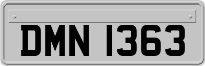 DMN1363