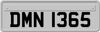 DMN1365
