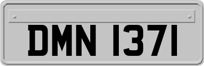 DMN1371