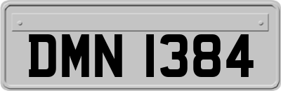 DMN1384