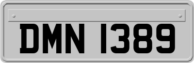 DMN1389