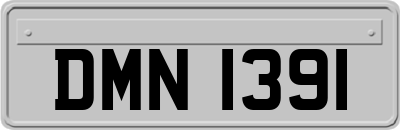 DMN1391