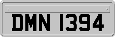DMN1394