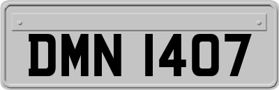 DMN1407