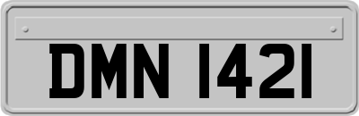 DMN1421