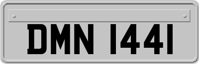 DMN1441