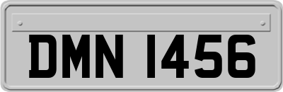 DMN1456