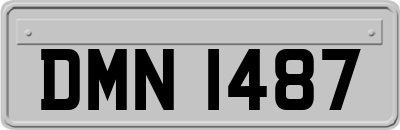 DMN1487