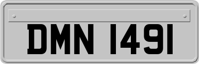 DMN1491