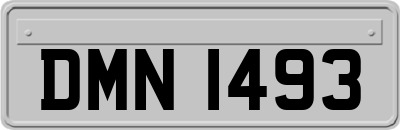 DMN1493