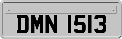 DMN1513
