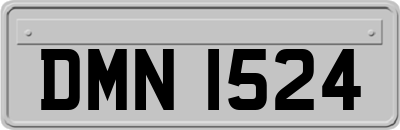 DMN1524