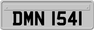 DMN1541