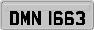 DMN1663