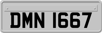 DMN1667
