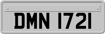 DMN1721