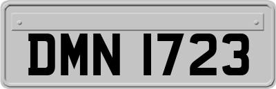 DMN1723