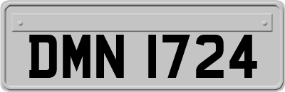 DMN1724