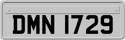 DMN1729