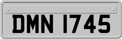 DMN1745