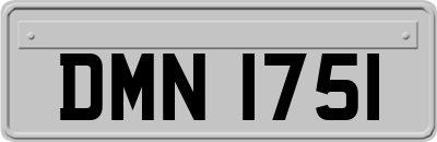 DMN1751