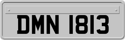 DMN1813