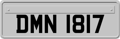 DMN1817