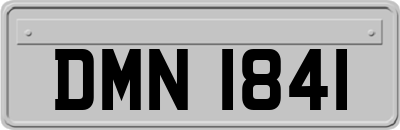 DMN1841