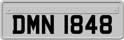 DMN1848