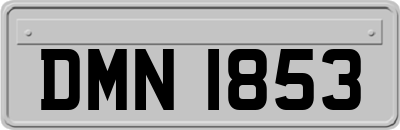DMN1853