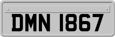 DMN1867