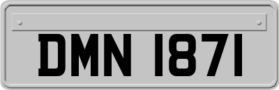 DMN1871
