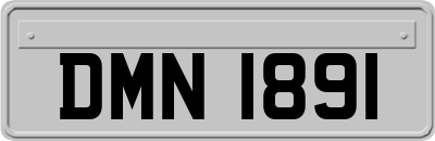 DMN1891