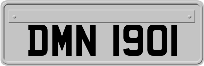 DMN1901