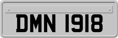 DMN1918