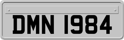 DMN1984