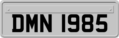 DMN1985