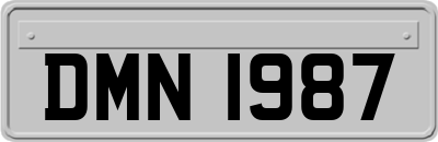 DMN1987
