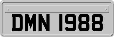 DMN1988