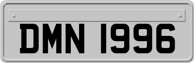 DMN1996