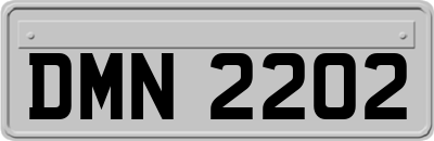 DMN2202