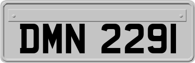 DMN2291