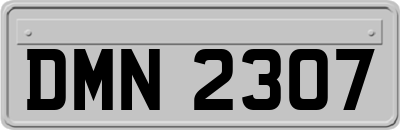 DMN2307