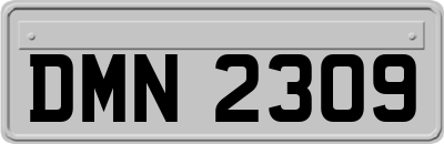 DMN2309