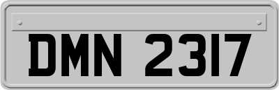 DMN2317