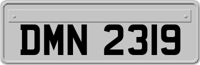 DMN2319