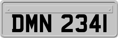 DMN2341