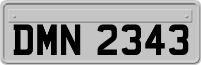 DMN2343