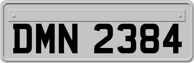 DMN2384